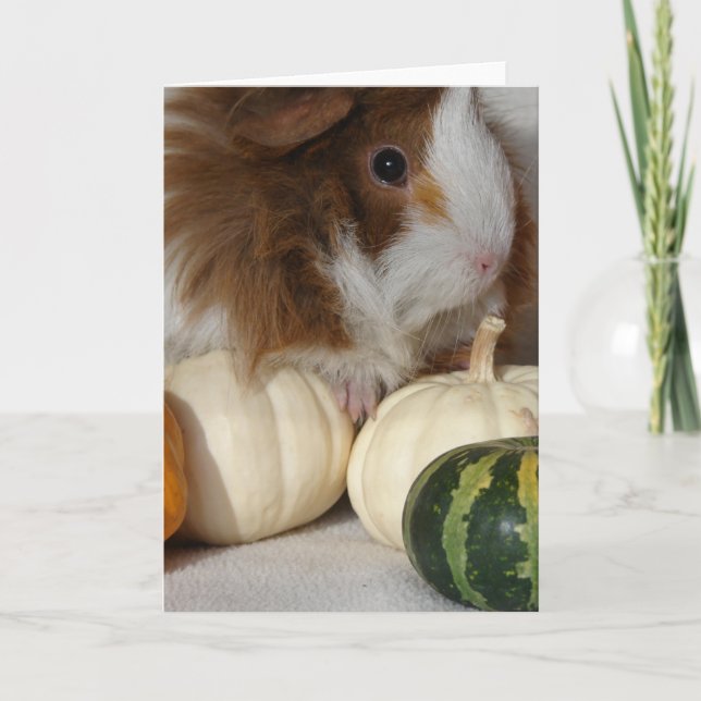 Guinea Pig Harvest Card (Front)
