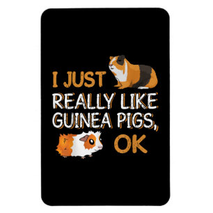 Guinea Pig I Just Really Like Guinea Pigs Ok Magnet