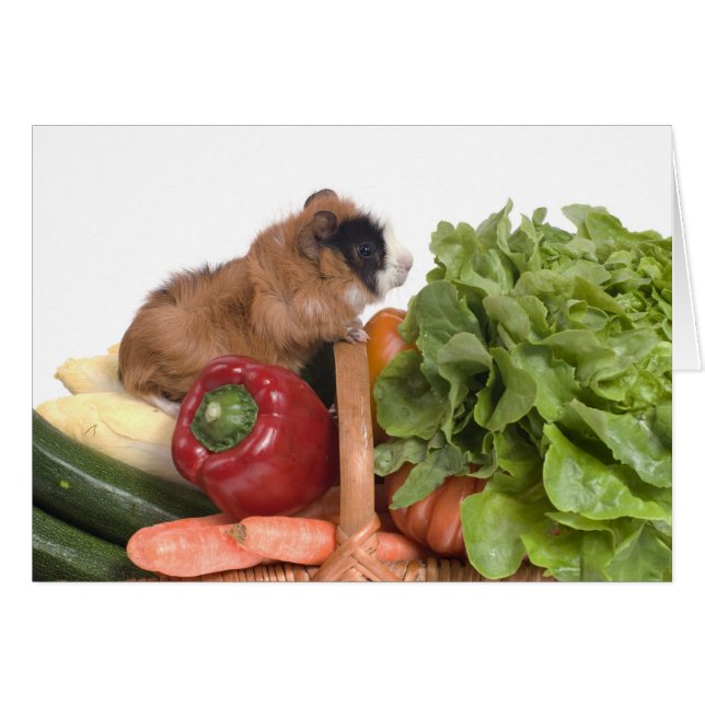 guinea pig in a basket of vegetables (Front Horizontal)