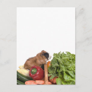 guinea pig in a basket of vegetables postcard
