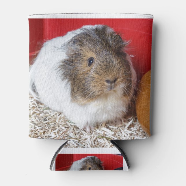 Guinea pig in a cage can cooler (Front)