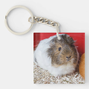 Guinea pig in a cage key ring
