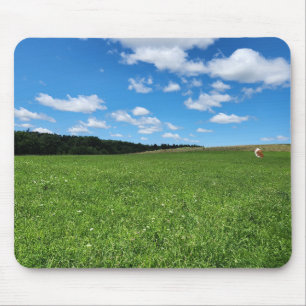 Guinea Pig in a Field Mousepad