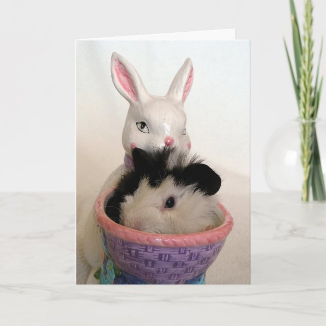 Guinea Pig in Bunny Planter For Easter Holiday Card (Front)