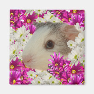 Guinea Pig In Daisies, Fridge Magnet