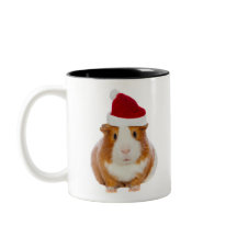 Guinea Pig in Santa's hat