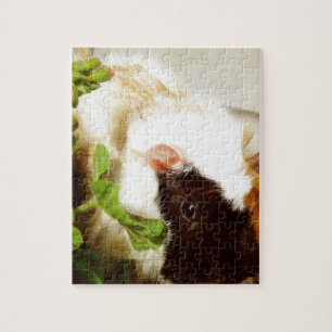 Guinea Pig in the Flowers Jigsaw Puzzle