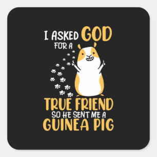 Guinea Pig Is True Friend Square Sticker