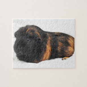 Guinea Pig Jigsaw Puzzle