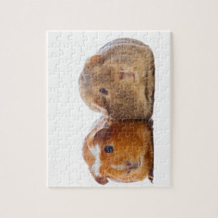 Guinea Pig Jigsaw Puzzle