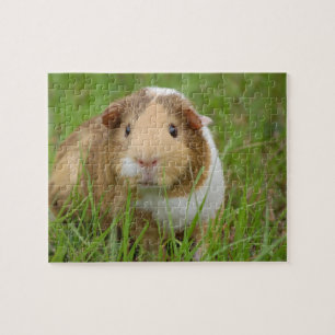 Guinea Pig Jigsaw Puzzle