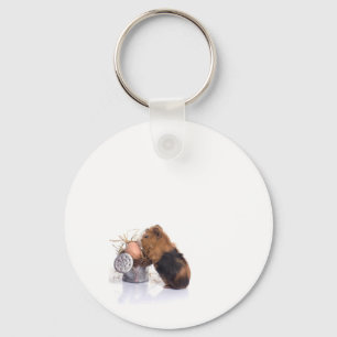 guinea pig key ring