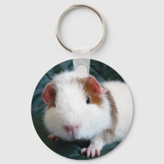 Guinea Pig Key Ring