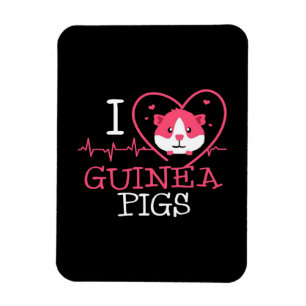 Guinea Pig Love Rodent Heartbeat Guinea Pig Magnet