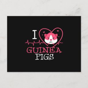 Guinea Pig Love Rodent Heartbeat Guinea Pig Postcard