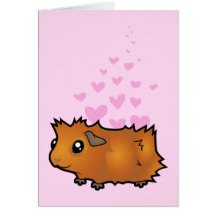 Guinea Pig Love (scruffy)
