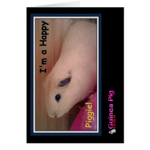 Guinea Pig Lover