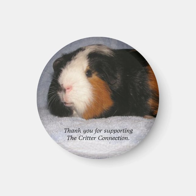 Guinea Pig Magnet #4 (Front)