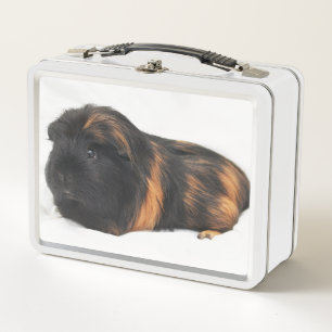 Guinea Pig Metal Lunch Box