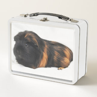 Guinea Pig Metal Lunch Box