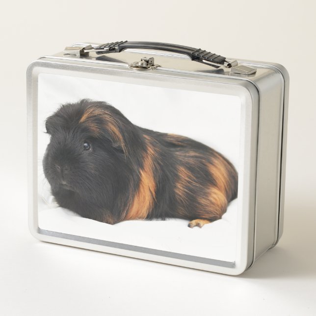 Guinea Pig Metal Lunch Box (Front)