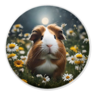 Guinea Pig Moon Daisies, Ceramic Knob