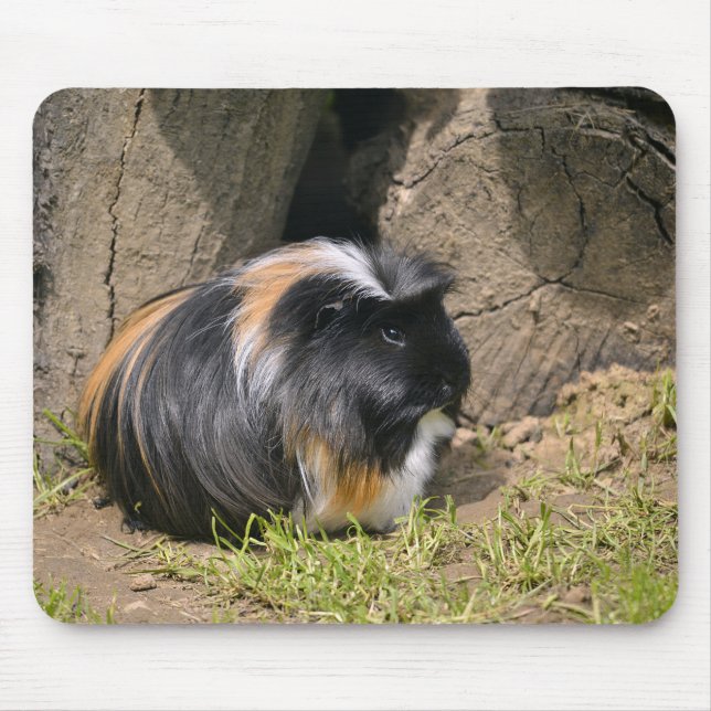 Guinea pig mouse pad (Front)