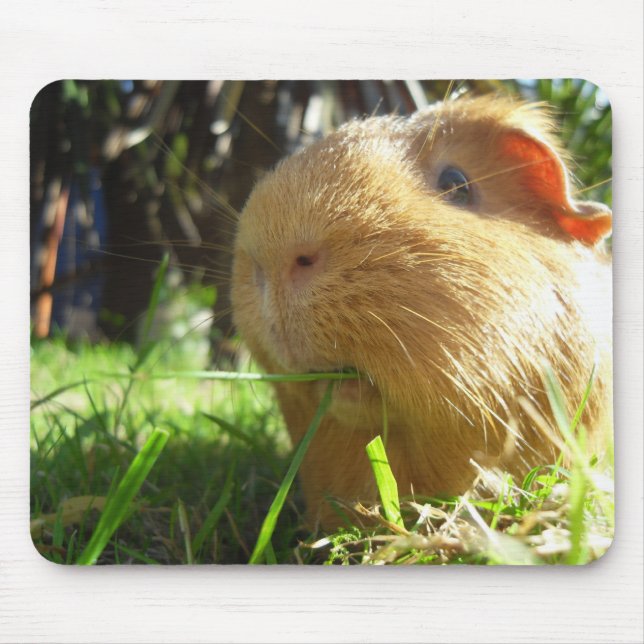 Guinea pig Mouse-pad Mouse Pad (Front)