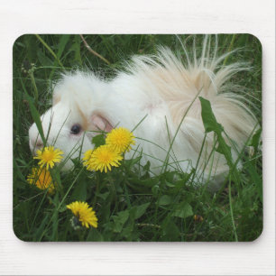 Guinea Pig Mousepad