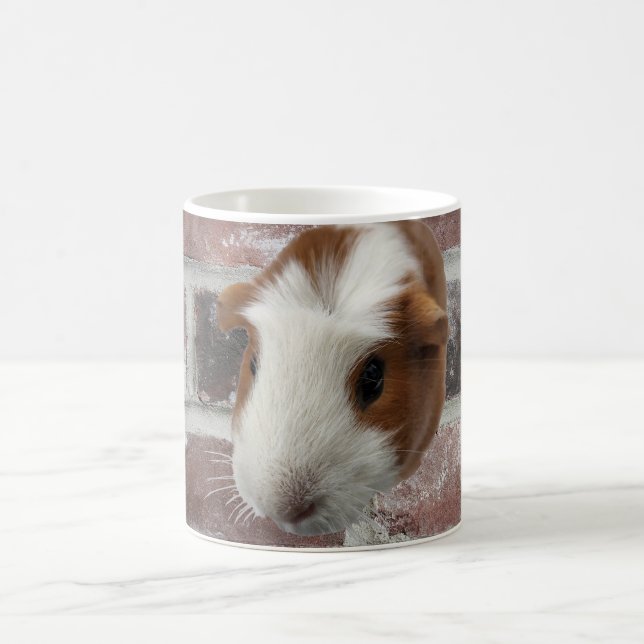 guinea pig Mug (Center)