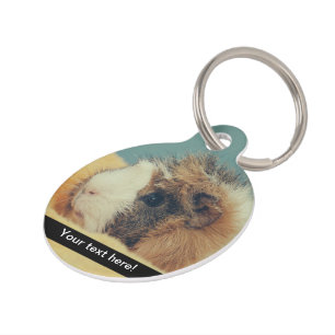 Guinea pig pet tag