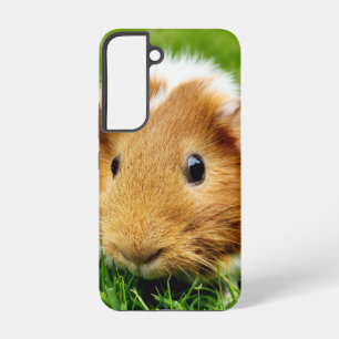 Guinea Pig Phone Case