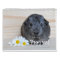 Guinea Pig Photographs Calendar