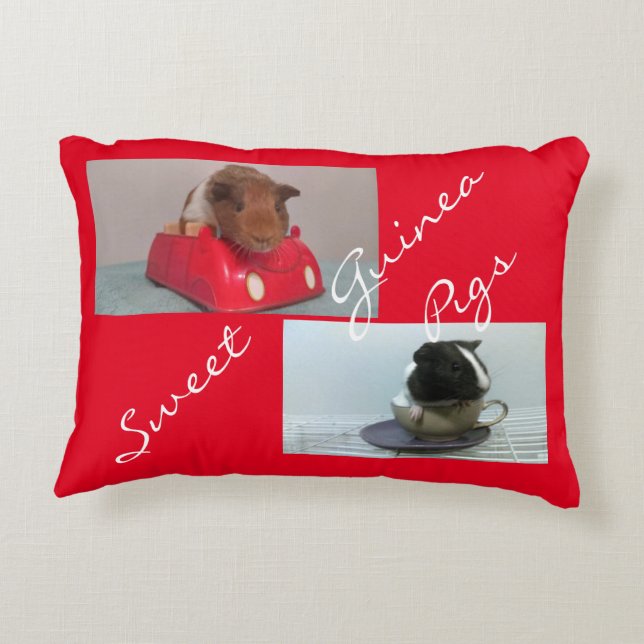 Guinea pig Pillow (Back)