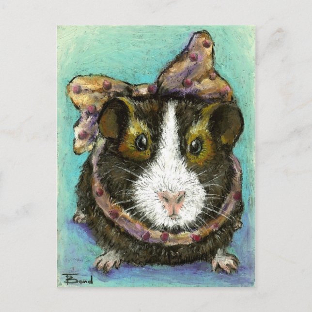 Guinea pig postcard (Front)