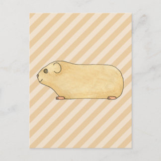 Guinea Pig. Postcard