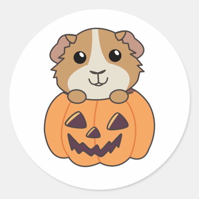 Guinea Pig Pumpkin Sweet Animals Happy Halloween Classic Round Sticker (Front)