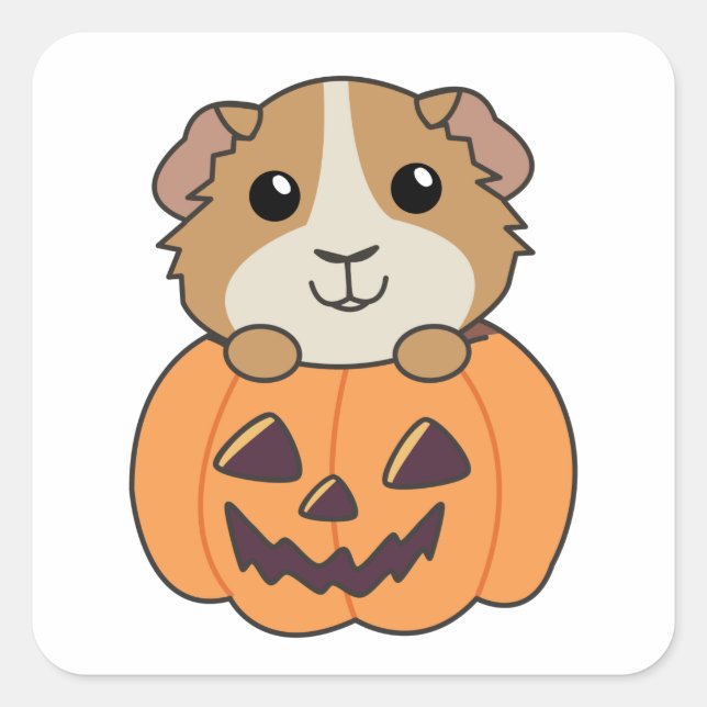 Guinea Pig Pumpkin Sweet Animals Happy Halloween S Square Sticker (Front)