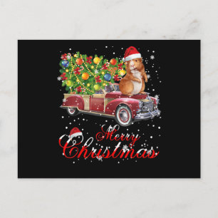 Guinea Pig Rides Red Truck Christmas Postcard