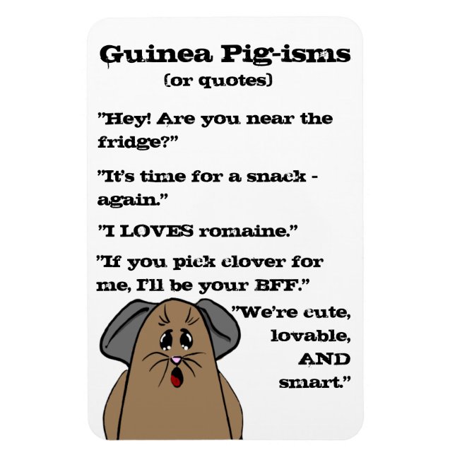 Guinea Pig Sayings Magnet (Vertical)