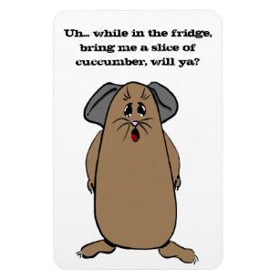 Guinea Pig Sayings Magnet