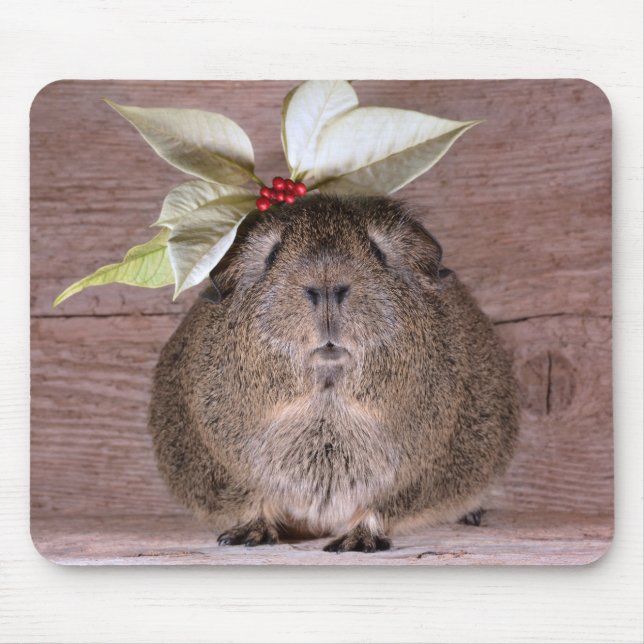 Guinea Pig Sweetheart Mouse Pad (Front)