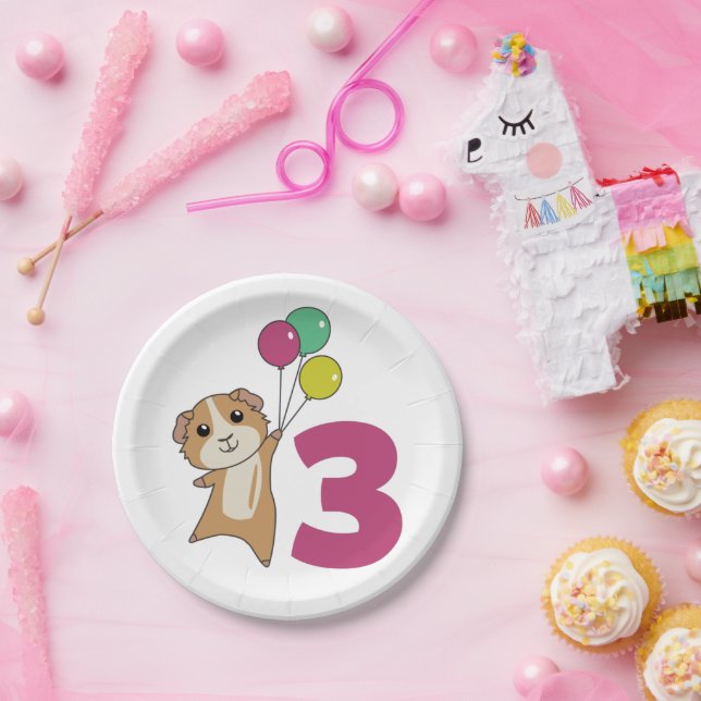 Guinea Pig Third Birthday Balloons Paper Plates (Party)