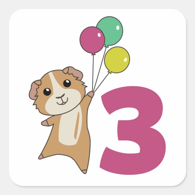 Guinea Pig Third Birthday Balloons Square Sticker (Front)