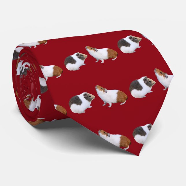 Guinea pig tie (Rolled)