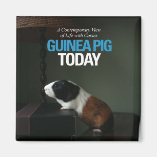 Guinea Pig Today Photo Magnet