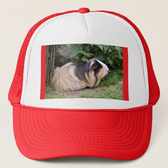 Guinea pig trucker hat (Front)