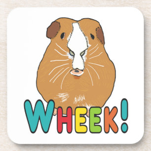 Guinea Pig Wheek Coaster