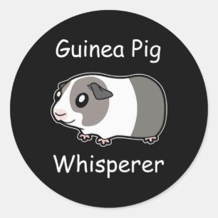 Guinea Pig Whisperer Classic Round Sticker
