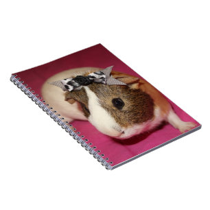 Guinea Pig With Bow 2 Notebook
